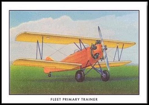 46 Fleet Primary Trainer